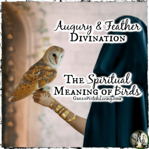 Augury and Feather Divination: The Spiritual Meaning of Birds | Green Witch Living