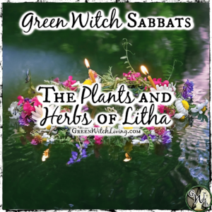 Green Witch Sabbats: The Plants and Herbs of Litha | Green Witch Living