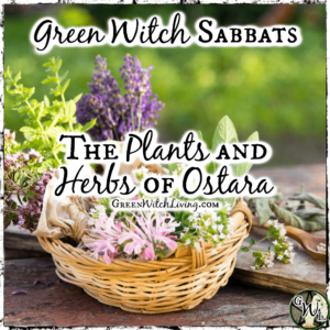 Green Witch Sabbats: The Plants and Herbs of Ostara, Green Witch Living
