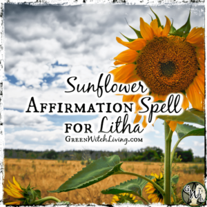 Sunflower Affirmation Spell for Litha, Green Witch Living