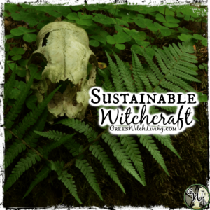 Sustainable Witchcraft: Protecting Mother Earth, Green Witch Living
