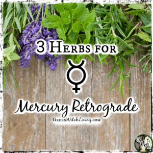3 Herbs for Mercury Retrograde, Green Witch Living