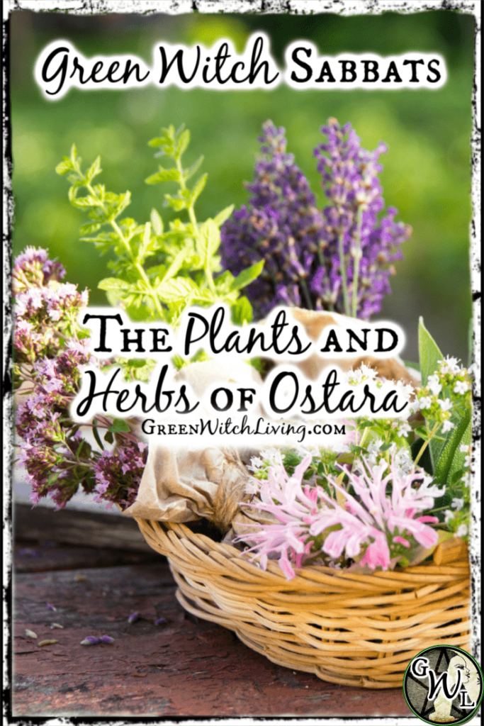 Green Witch Sabbats: The Plants and Herbs of Ostara, Green Witch Living