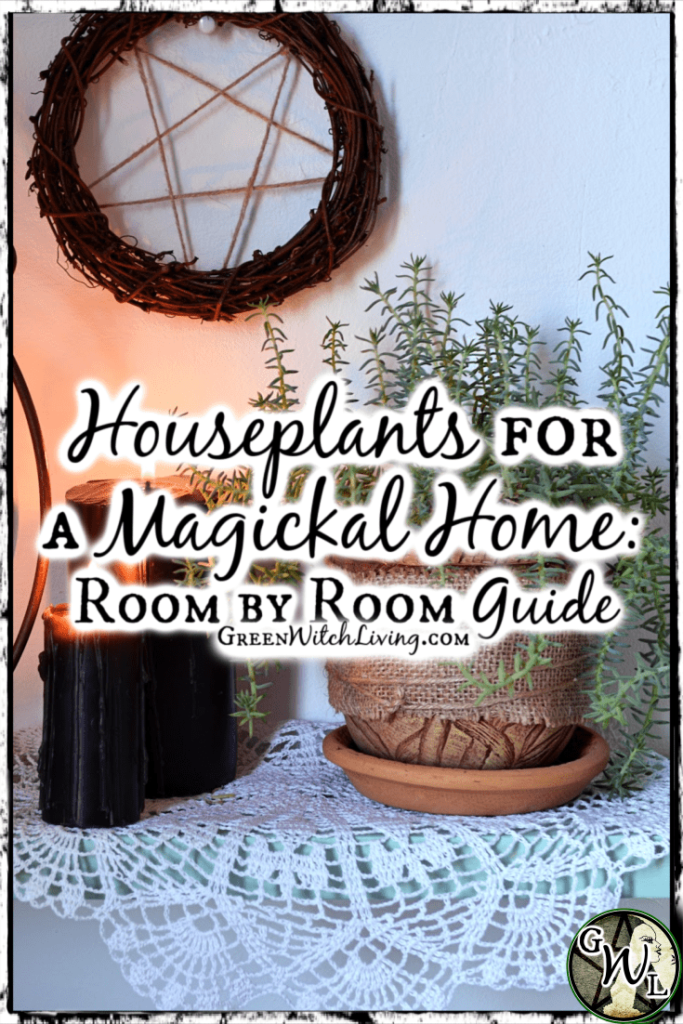 Houseplants for a Magickal Home: A Room by Room Guide | Green Witch Living
