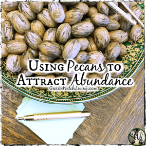 Using Pecans to Attract Abundance | Green Witch Living