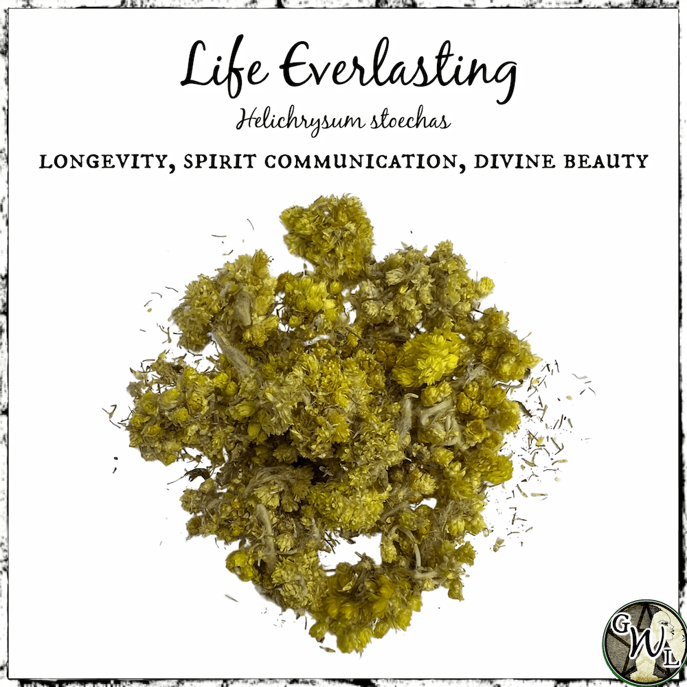 Organic Life Everlasting Flowers | Green Witch Living